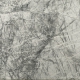 SPIDER-MARBLE-thumbnail